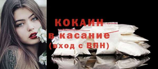 молекула духа Гусев