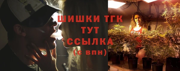 молекула духа Гусев