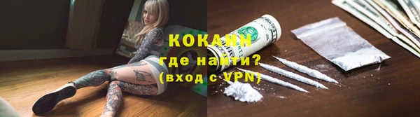 молекула духа Гусев