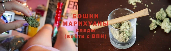 молекула духа Гусев