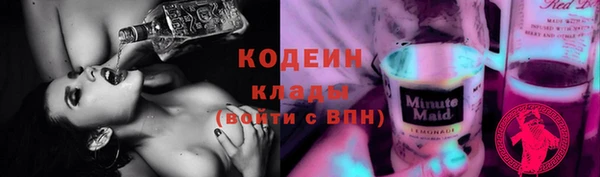 молекула духа Гусев