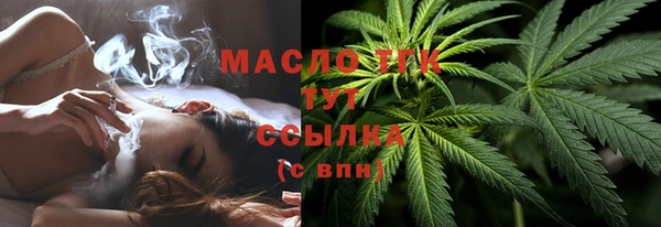 молекула духа Гусев