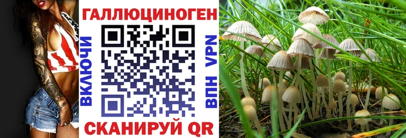 Галлюциногенные грибы ЛСД  Чернушка 