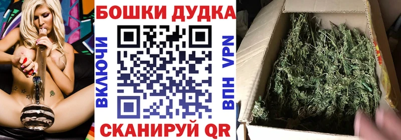 Каннабис SATIVA & INDICA  Чернушка 